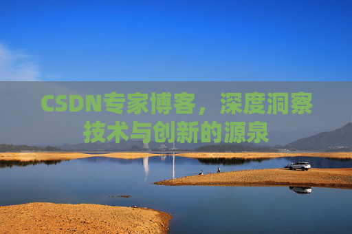 CSDN专家博客，深度洞察技术与创新的源泉
